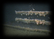 002 Mule Stable Rail
